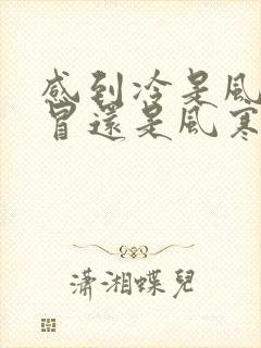 感到冷是风热感冒还是风寒感冒