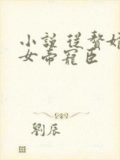 小说 从赘婿到女帝宠臣