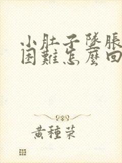 小肚子坠胀排便困难怎么回事