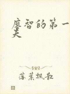 廖智的第一任丈夫