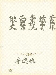 做白带检查正规大医院费用