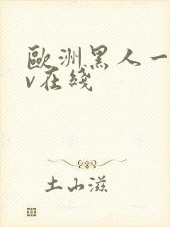 欧洲黑人一级av在线