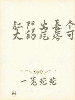 肛门出长个豆子大的疙瘩可疼