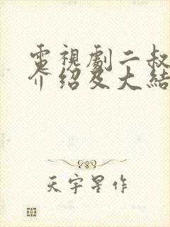 电视剧二叔剧情介绍及大结局封面