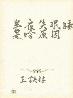 半夜失眠睡不着是啥原因