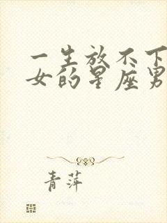 一生放不下双子女的星座男