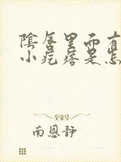 阴唇里面有几个小疙瘩是怎么回事封面