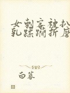 女刺客被扒开双乳蹂躏折磨的小说封面