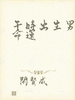 午时出生男孩的命运封面