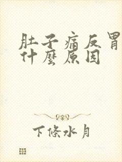 肚子痛反胃想吐什么原因