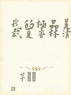 我的极品美女总裁夏睿林清雅全本小说下载