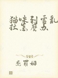 猫咪到处乱尿乱拉怎么办