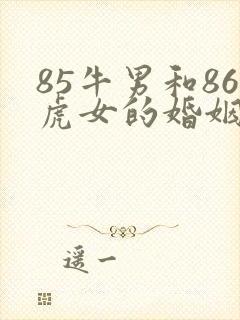 85牛男和86虎女的婚姻怎么样