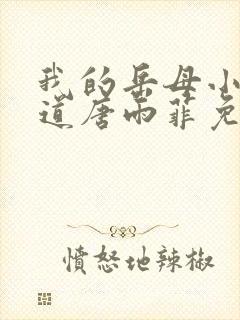 我的岳母小说林道唐雨菲免费阅读