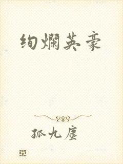 绚烂英豪封面