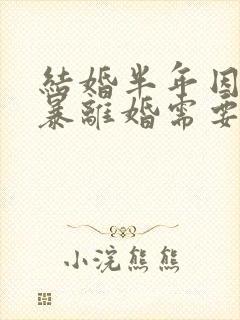 结婚半年因为家暴离婚需要退彩礼吗封面