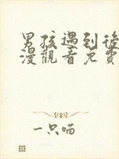 男孩遇到后宫动漫观看免费版全集