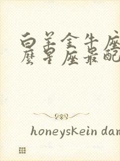 白羊金牛座和什么星座最配