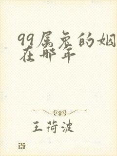 99属兔的姻缘在哪年