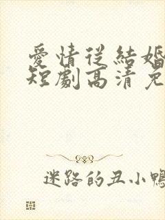 爱情从结婚开始短剧高清免费播放