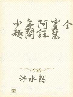 少年阿宾全文笔趣阁钰慧