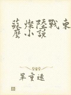 苏灿陆战东是什么小说