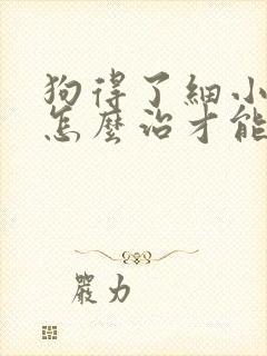 狗得了细小病毒怎么治才能好