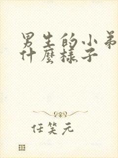 男生的小弟弟长什么样子