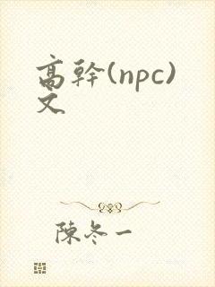 高干(npc)文封面