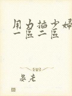 用力插少妇久久一区二区