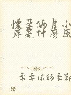 怀孕俩月小肚子疼是什么原因