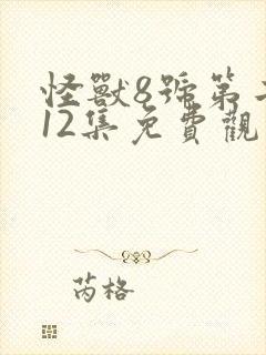 怪兽8号第二季12集免费观看