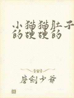 小猫猫肚子鼓鼓的硬硬的