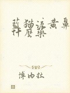 蓝猫流黄鼻涕吃什么药封面