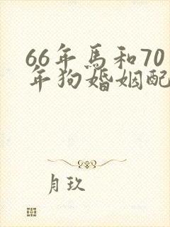 66年马和70年狗婚姻配吗