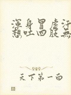 浑身冒虚汗头晕想吐四肢无力封面