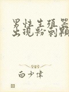 男性生殖器根部出现粉刺颗粒