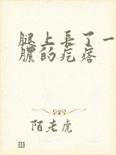 腿上长了一个有脓的疙瘩