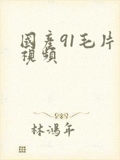 国产91毛片小视频