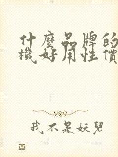 什么品牌的电视机好用性价比高