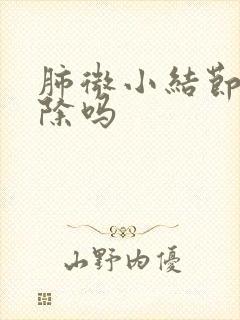 肺微小结节会消除吗封面