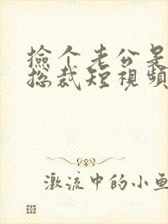 捡个老公是千亿总裁短视频封面