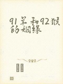 91羊和92猴的姻缘封面