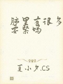 肺里有很多结节要紧吗