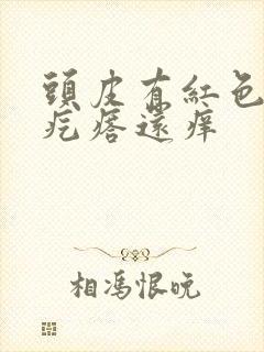 头皮有红色的小疙瘩还痒