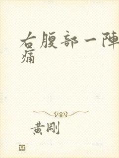 右腹部一阵一阵痛封面