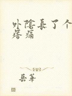 外阴长了个硬疙瘩痛