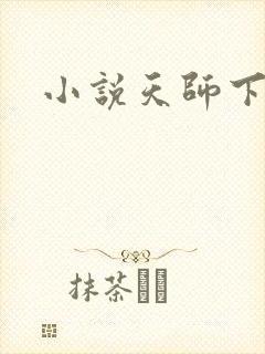 小说天师下山封面