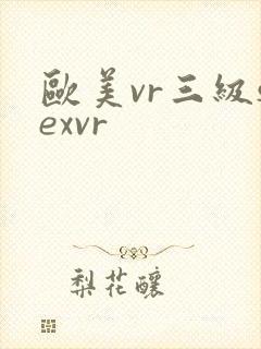欧美vr三级sexvr