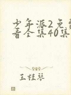 少年派2免费观看全集40集